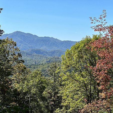 Stunning Views, Superb Atmosphere, Modern Amenities, In The Middle Of Nature Bryson City Kültér fotó